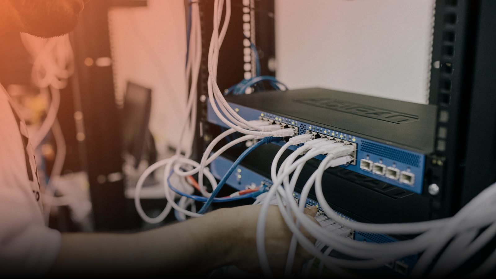 Network cables plugged into a switch in a server rack