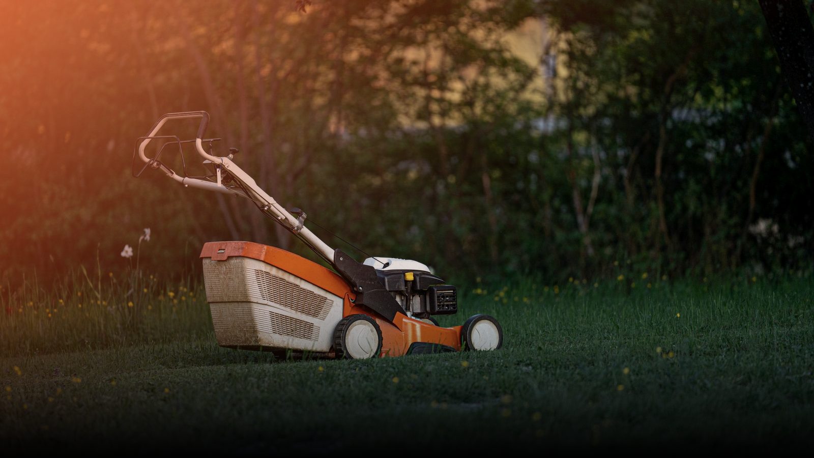 A lawn mower standing on freshly cut grass