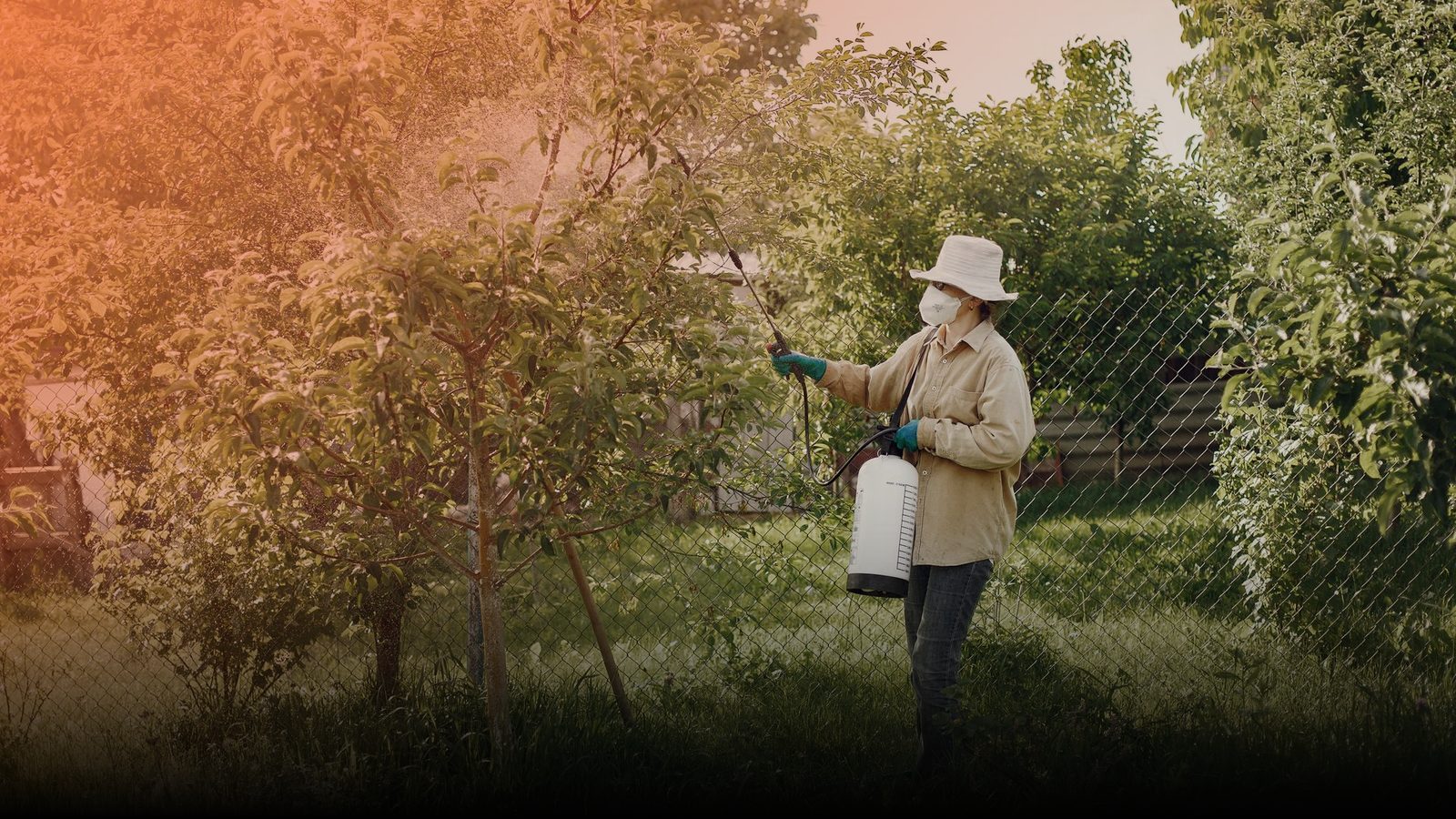 A pest control technician in protective gear spraying a garden
